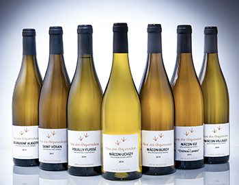 packshot