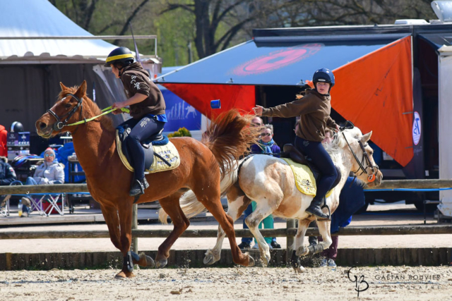 CLUNY-OPEN-BFC-N1-Equitation-Gaëtan-Bouvier-Photographe-Sport-Mâcon-Cluny